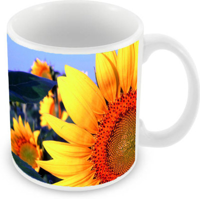 Sleep Nature's SN-MG-996 Ceramic Mug(350 ml), Yellow
