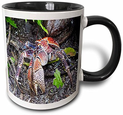 3dRose Coconut Crab Two Tone Black, 11 oz, Black/White Ceramic Mug(60 ml), Multicolor
3dRose Coconut Crab Two Tone Black, 11 oz, Black/White Ceramic Mug(60 ml), Multicolor