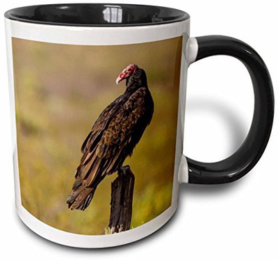 3dRose mug_209206_4 Turkey Vulture in Big Bend National Park, Texas Two Tone Black, 11 oz, Black/White Ceramic Mug(60 ml), Multicolor
3dRose mug_209206_4 Turkey Vulture in Big Bend National Park, Texas Two Tone Black, 11 oz, Black/White Ceramic Mug(60 ml), Multicolor