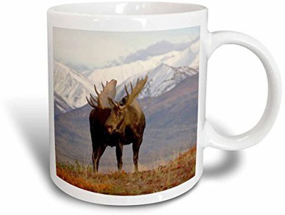 3dRose Moose Bull Wildlife Denali National Park Alaska, Ceramic, 15-Oz Ceramic Mug(60 ml), Multicolor
3dRose Moose Bull Wildlife Denali National Park Alaska, Ceramic, 15-Oz Ceramic Mug(60 ml), Multicolor