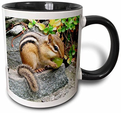 3dRose mug_3109_4 Chipmunk Two Tone Black, 11 oz, Black/White Ceramic Mug(60 ml), Multicolor
3dRose mug_3109_4 Chipmunk Two Tone Black, 11 oz, Black/White Ceramic Mug(60 ml), Multicolor