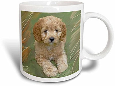 3dRose Miniature Poodle Puppy Ceramic, 11-Ounce Ceramic Mug(60 ml), Multicolor
3dRose Miniature Poodle Puppy Ceramic, 11-Ounce Ceramic Mug(60 ml), Multicolor