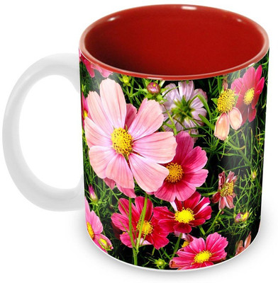 Tuelip Beautiful Printed Pink Cosmos Flowers inside Red for Tea And Coffee Ceramic Mug(350 ml), Multicolor
Tuelip Beautiful Printed Pink Cosmos Flowers inside Red for Tea And Coffee Ceramic Mug(350 ml), Multicolor