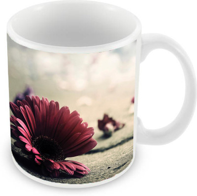 Sleep Nature's SN-MG-2509 Ceramic Mug(350 ml), Multicolor