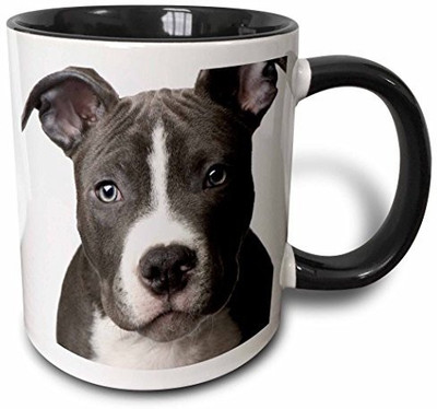 3dRose American Pit Bull Terrier Puppy Two Tone Black, 11 oz, Black/White Ceramic Mug(60 ml), Multicolor
3dRose American Pit Bull Terrier Puppy Two Tone Black, 11 oz, Black/White Ceramic Mug(60 ml), Multicolor