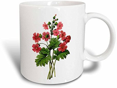 3dRose Redoute Vintage Watercolor Floral Primrose Primula Sinensis Ceramic, 15 oz, White Ceramic Mug(60 ml), Multicolor
3dRose Redoute Vintage Watercolor Floral Primrose Primula Sinensis Ceramic, 15 oz, White Ceramic Mug(60 ml), Multicolor