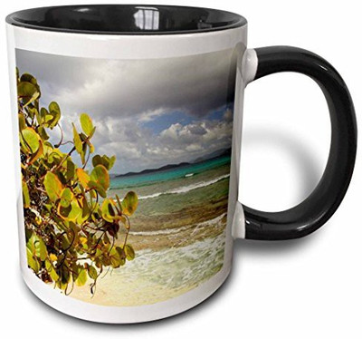 3dRose mug_70118_4 USVI, St.Thomas, St. John Bay, Sapphire Beach CA37 CMI0054 Cindy Miller Hopkins Two Tone Black, 11 oz, Black/White Ceramic Mug(60 ml), Multicolor
3dRose mug_70118_4 USVI, St.Thomas, St. John Bay, Sapphire Beach CA37 CMI0054 Cindy Miller Hopkins Two Tone Black, 11 oz, Black/White Ceramic Mug(60 ml), Multicolor