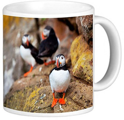 Rikki Knight LLC Knight Photo Quality Ceramic Coffee, 11 oz, Puffins Ceramic Mug(60 ml), Multicolor
Rikki Knight LLC Knight Photo Quality Ceramic Coffee, 11 oz, Puffins Ceramic Mug(60 ml), Multicolor