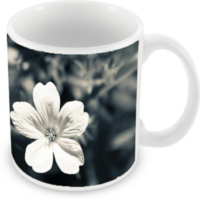 Sleep Nature's SN-MG-1814 Ceramic Mug(350 ml), White