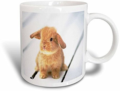 3dRose mug_55173_1 Adorable Barbara Bunny Rabbit Ceramic, 11-Ounce Ceramic Mug(60 ml), Multicolor
3dRose mug_55173_1 Adorable Barbara Bunny Rabbit Ceramic, 11-Ounce Ceramic Mug(60 ml), Multicolor