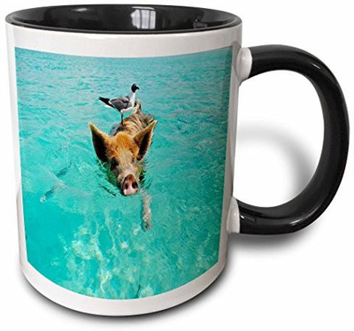 3dRose mug_214477_4 Print of Swimming Pig in Staniel Cay Bahamas Two Tone Black, 11 oz, Black/White Ceramic Mug(60 ml), Multicolor
3dRose mug_214477_4 Print of Swimming Pig in Staniel Cay Bahamas Two Tone Black, 11 oz, Black/White Ceramic Mug(60 ml), Multicolor