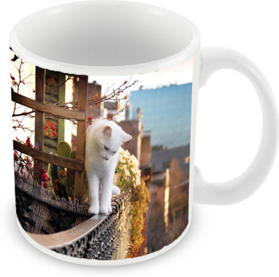 Sleep Nature's SN-MG-1500 Ceramic Mug(350 ml), Multicolor
