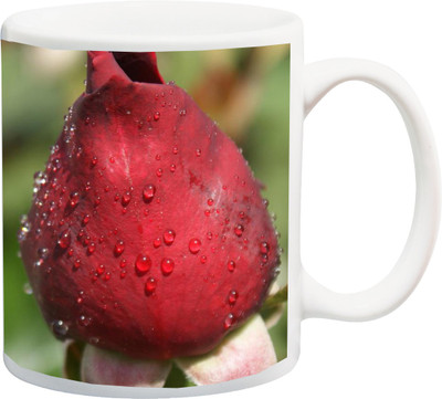 ME&YOU Gift for Multiple Special Occasion Print With Red Rose Flower 3D Printed Ceramic Mug(325 ml), Multicolor
ME&YOU Gift for Multiple Special Occasion Print With Red Rose Flower 3D Printed Ceramic Mug(325 ml), Multicolor