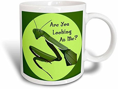 3dRose Praying Mantis, 11-Ounce Ceramic Mug(60 ml), Multicolor