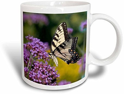 3dRose Eastern Tiger Swallowtail on Brazilian Verbena, Marion Co. Il Ceramic, 11 oz, White Ceramic Mug(60 ml), Multicolor
3dRose Eastern Tiger Swallowtail on Brazilian Verbena, Marion Co. Il Ceramic, 11 oz, White Ceramic Mug(60 ml), Multicolor