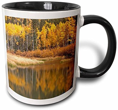 3dRose mug_36355_4 Golden Aspens Reflecting in Beaver Pond Two Tone Black, 11 oz, Black/White Ceramic Mug(60 ml), Multicolor
3dRose mug_36355_4 Golden Aspens Reflecting in Beaver Pond Two Tone Black, 11 oz, Black/White Ceramic Mug(60 ml), Multicolor