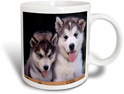 3dRose mug_55166_2 2 Alaskan Malamute Puppies Ceramic, 15 oz, White Ceramic Mug(60 ml), Multicolor
3dRose mug_55166_2 2 Alaskan Malamute Puppies Ceramic, 15 oz, White Ceramic Mug(60 ml), Multicolor