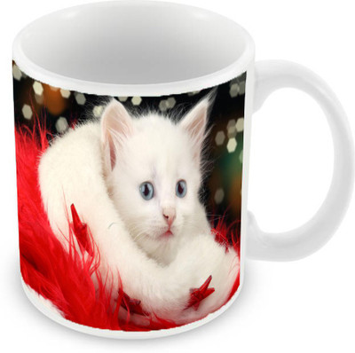 Sleep Nature's SN-MG-294 Ceramic Mug(350 ml), White
