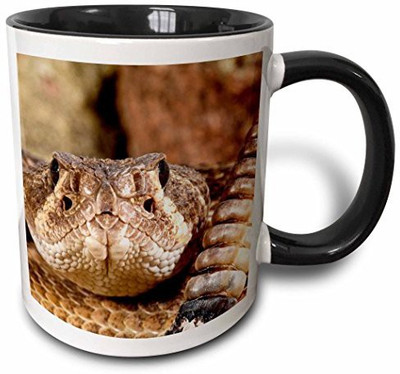 3dRose Western Diamondback Rattlesnake, Southwestern Us Na02 Dno0883 David Northcott Two Tone Black, 11 oz, Black/White Ceramic Mug(60 ml), Multicolor
3dRose Western Diamondback Rattlesnake, Southwestern Us Na02 Dno0883 David Northcott Two Tone Black, 11 oz, Black/White Ceramic Mug(60 ml), Multicolor