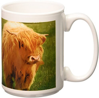 3dRose mug_82799_2 Scotland, Highland Cow, Farm Animal Eu36 Cmi0128 Cindy Miller Hopkins Ceramic, 15-Ounce Ceramic Mug(60 ml), Multicolor
3dRose mug_82799_2 Scotland, Highland Cow, Farm Animal Eu36 Cmi0128 Cindy Miller Hopkins Ceramic, 15-Ounce Ceramic Mug(60 ml), Multicolor