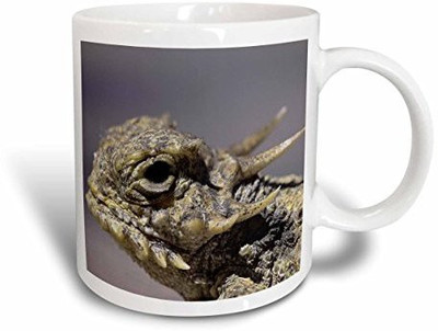 3dRose Flat-Tailed Horned Lizard, Phrynosoma Mcalli Ceramic, 15-Ounce Ceramic Mug(60 ml), Multicolor
3dRose Flat-Tailed Horned Lizard, Phrynosoma Mcalli Ceramic, 15-Ounce Ceramic Mug(60 ml), Multicolor