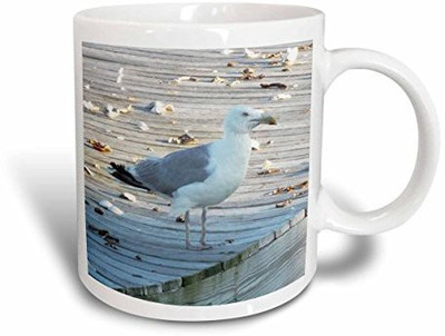 3dRose mug_165209_1 Seagull Standing on The Dock of The Bay Ceramic, 11-Ounce Ceramic Mug(60 ml), Multicolor
3dRose mug_165209_1 Seagull Standing on The Dock of The Bay Ceramic, 11-Ounce Ceramic Mug(60 ml), Multicolor
