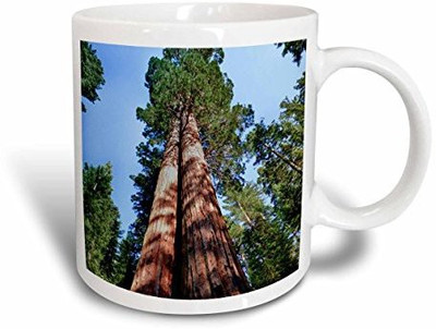 3dRose Woman, Sequoia Tree, Yosemite, California, USA Us05 Mwi0013 Mark Williford Ceramic, 15 oz, White Ceramic Mug(60 ml), Multicolor
3dRose Woman, Sequoia Tree, Yosemite, California, USA Us05 Mwi0013 Mark Williford Ceramic, 15 oz, White Ceramic Mug(60 ml), Multicolor
