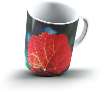 Ucard Landscape2412974 Bone China, Ceramic, Porcelain Mug(325 ml)