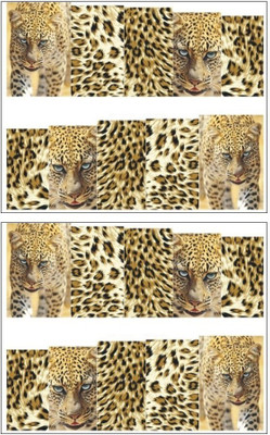 Jenna Manicure Water Transfer Nail Art Decals Stickers- Sapphire Series NR-185(White)
Jenna Manicure Water Transfer Nail Art Decals Stickers- Sapphire Series NR-185(White)