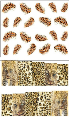 Jenna Manicure Water Transfer Nail Art Decals Stickers- Sapphire Series NR-160(White)
Jenna Manicure Water Transfer Nail Art Decals Stickers- Sapphire Series NR-160(White)