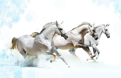 Tallenge - White Horses Running - Unframed Poster Paper Print(11.6 inch X 16.5 inch, Rolled)
Tallenge - White Horses Running - Unframed Poster Paper Print(11.6 inch X 16.5 inch, Rolled)