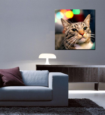 Tallenge Christmas Collection - Cat With Bokeh Lights - Gallery Wrap Canvas Art(15 inch X 15 inch, Stretched)
Tallenge Christmas Collection - Cat With Bokeh Lights - Gallery Wrap Canvas Art(15 inch X 15 inch, Stretched)
