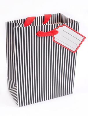 Enwraps Printed Party Bag(Multicolor, Pack of 3)