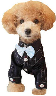 Futaba Fashion Dog Bowknot Tie - BlueFashion Dog Bowknot Tie - Blue Embellished Dog Collar Charm(Blue, Other)
Futaba Fashion Dog Bowknot Tie - BlueFashion Dog Bowknot Tie - Blue Embellished Dog Collar Charm(Blue, Other)