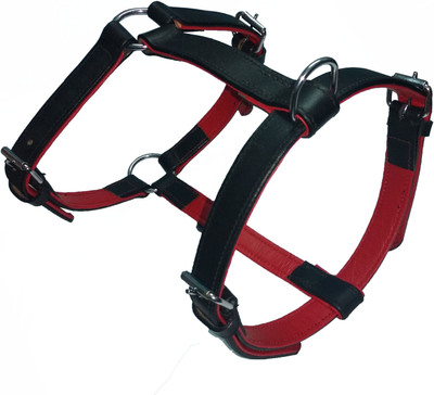 Petshop7 Red Leather Black & Red 1 inch Dog Harness Dog Standard Harness(, Black, Red
Petshop7 Red Leather Black & Red 1 inch Dog Harness Dog Standard Harness(, Black, Red