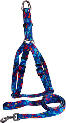 Petshop7 Fancy Nylon 1 Inch Dog Dog Harness & Leash(, Blue 
Petshop7 Fancy Nylon 1 Inch Dog Dog Harness & Leash(, Blue