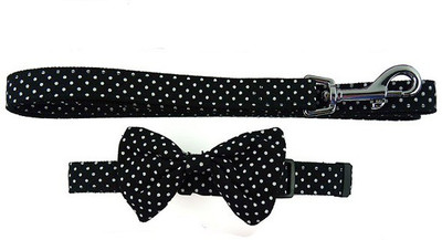 Ginipet Dog Collar & Leash(, Black