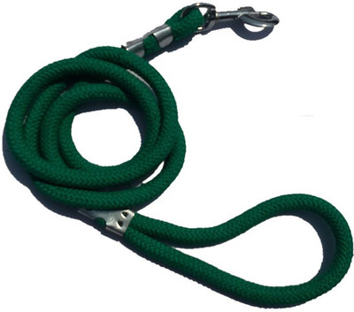 Pets Planet Dog Collar & Leash(, Green