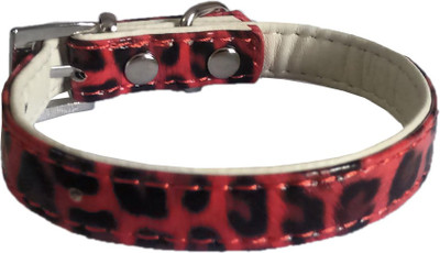 Paw Zone Dog & Cat Show Collar(, Red