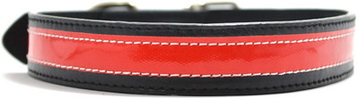 That Dog in Tuxedo The Friday Night Dog Everyday Collar(, Black