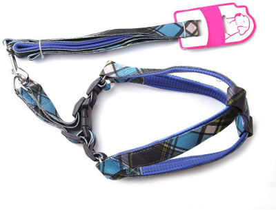 Ecocart Dog Harness & Leash(, printed blue