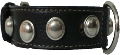 Berries Dog Everyday Collar(, Black