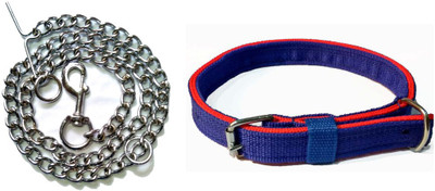 Sollar's Dog Collar & Chain(, Blue