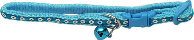 Ecocart Dog & Cat Show Collar(, blue