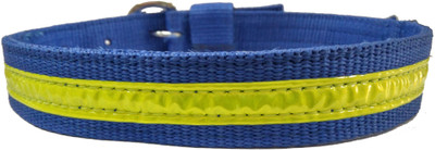 Sollar's Dog Everyday Collar(, Blue