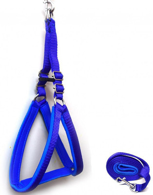 PETVALA Dog Safety Harness(, BLUE