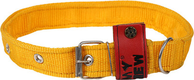 TommyChew Regular Dog Everyday Collar(, Yellow