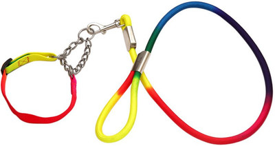Ecocart Dog Collar & Leash(, Colourful