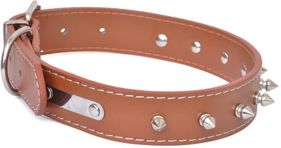 Pets Planet Dog Everyday Collar(, Brown