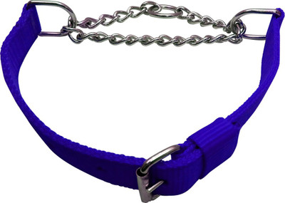 Golddust 1.5inch Dog Harness & Chain(, Blue